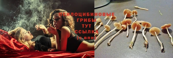 эйфоретик Навашино