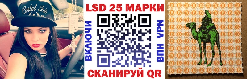 Купить закладки  Кингисепп  Марки NBOMe 1,8мг 